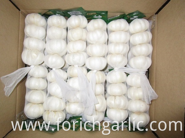 Pure White Garlic